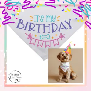 It's My Birthday