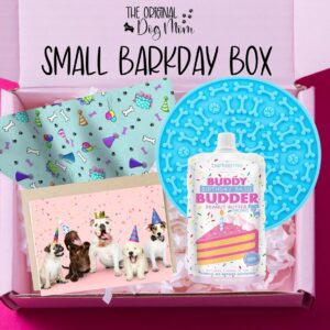 Dog Birthday Box | Barkday Box
