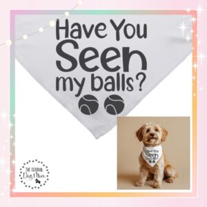Have You Seen My Balls
