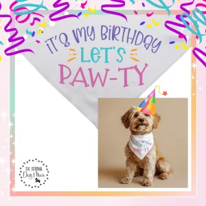 It's My Birthday, Let's Paw-ty!