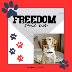 Freedom Charlie Kirk Dog Bandana