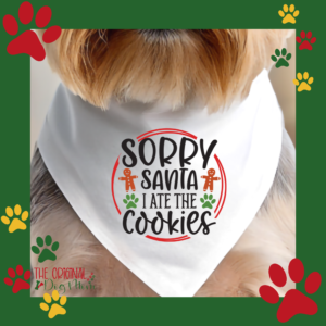 Sorry Santa I Ate The Cookies Dog Bandana