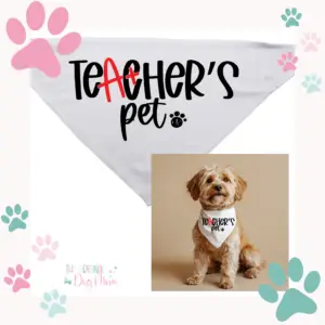 "Teacher's Pet" Dog Bandana