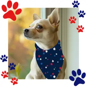 Patriotic Over the Collar Reversible Dog Bandana