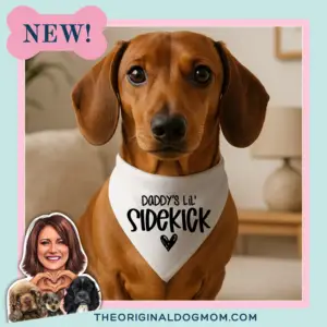 "Daddy's Lil' Sidekick" Dog Bandana