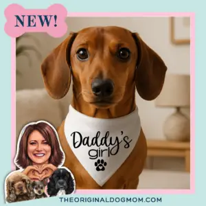 "Daddy's Girl" Dog Bandana