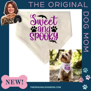 Sweet and Spooky Scrunchie Bandana