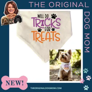 Will Do Tricks for Treats Scrunchie Bandana