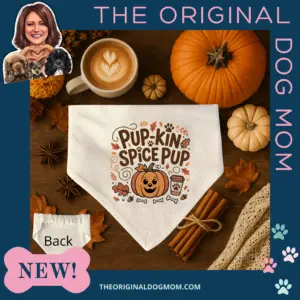 Pupkin Spice Pup Scrunchie Bandana