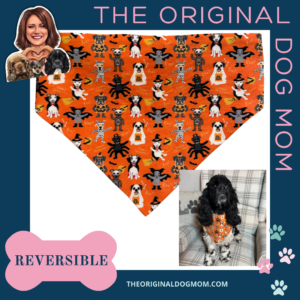 Costume Crew Reversible Scrunchie Bandana